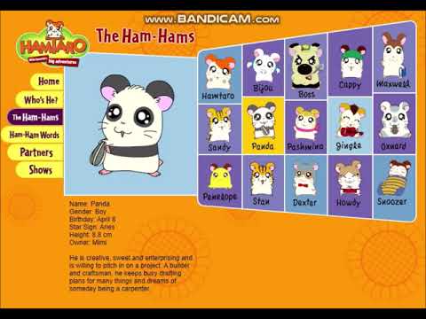 Hamtaro - Official Website - The Ham Hams