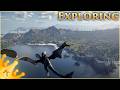 I have a Dragon! - Crimson Desert