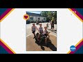 DMRF is HSN's Charity of the Day