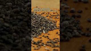 Superfoods Through Time How Farmers Enhanced Nutrients In Chia Seeds Spinach