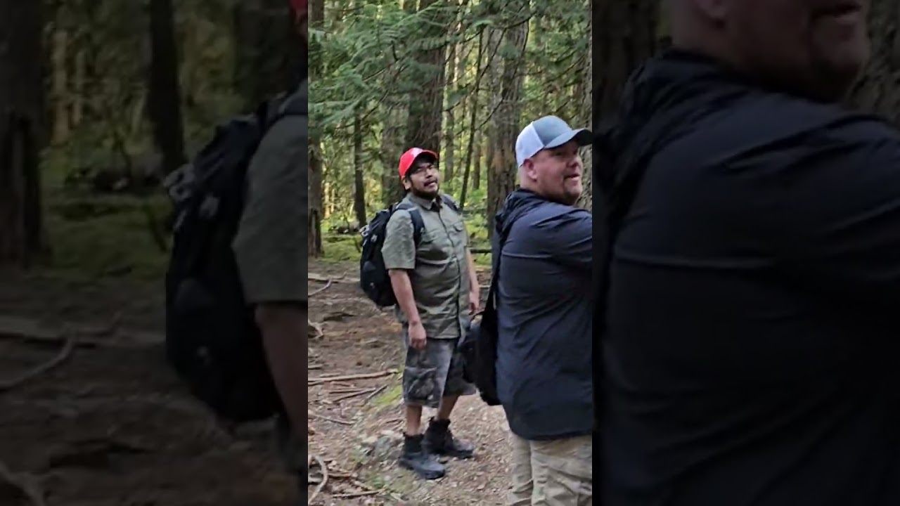 This Thing Is Foking Hung...(tree humor) 