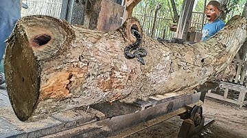 unexpected surprise while sawing old teak logs at the sawmill