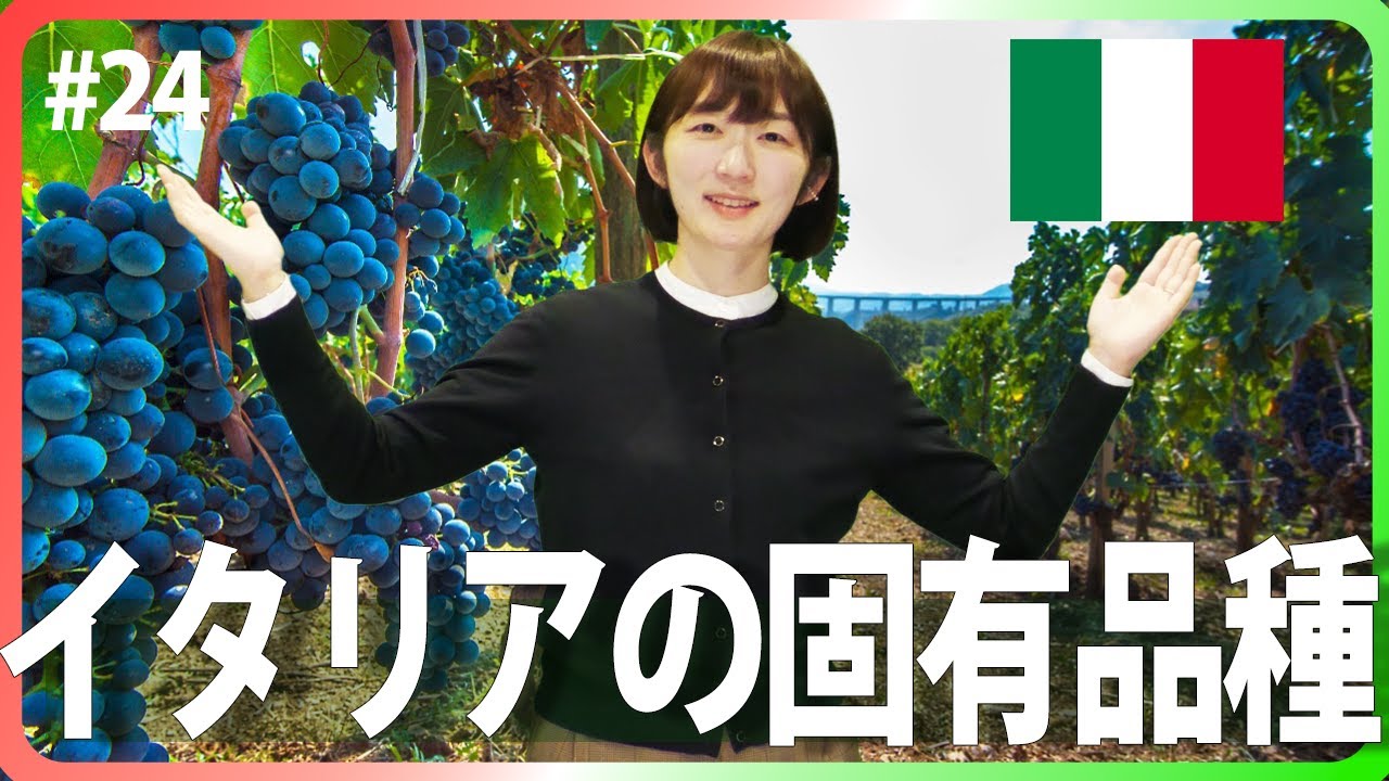 #24 イタリアの固有品種｜ソムリエ・ワインエキスパート試験に登場するブドウ品種たち