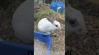 I Feel So Bad For All You Guys Scrolling