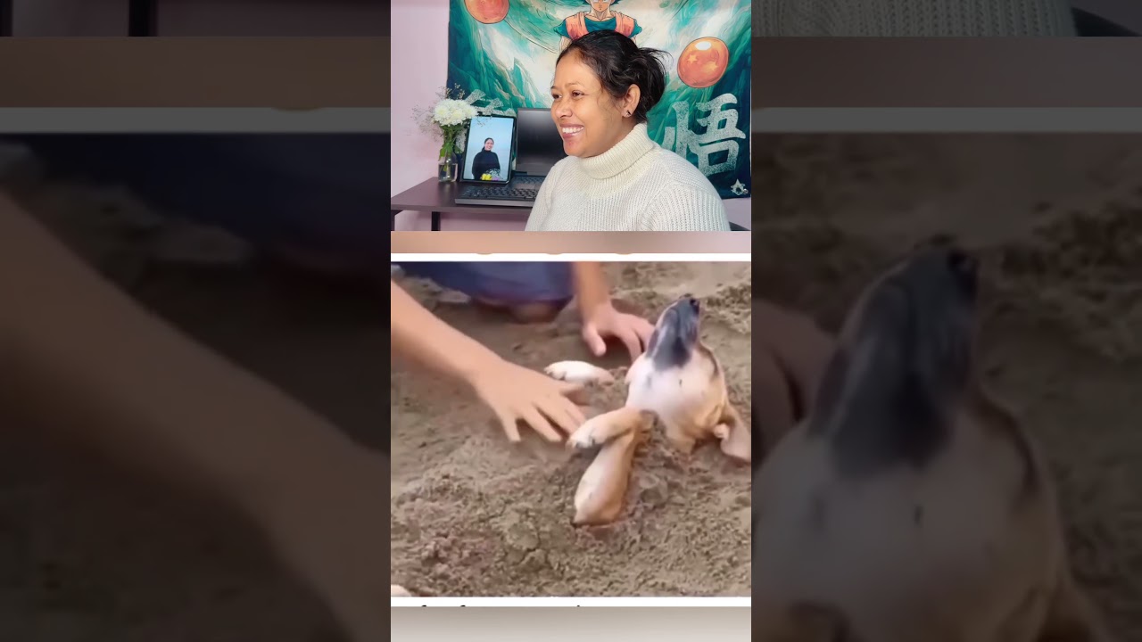 Garmi ke mousam main cool rehne ka naya tarika 😂 #dogeshbhai #funnydog #dogshorts
