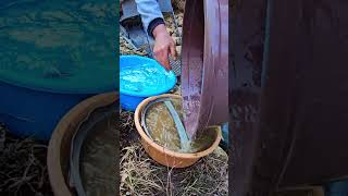 D Discovery, Incredible D Find İn Old Stream Bed