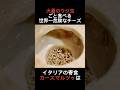 ウジ虫ごと食べる世界一危険なチーズ#都市伝説 #雑学 #shorts