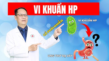 #4 Có Phải Cứ Nhiễm Vi Khuẩn HP Là Bị Ung Thư Dạ Dày? |ThS.BS.CK2 Trần Kinh Thành