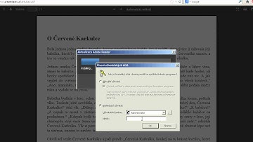 Fake install Adobe reader update