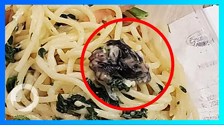 【餐飲界奇蹟】猩香港知名連鎖餐廳 買麵驚見老鼠頭；狂！熱血外送員送餐到合歡山山頂｜TomoNews - 天天要聞