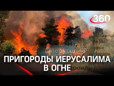 Огонь у Иерусалима: пожары бушуют в пригородах, горят леса и рощи, жителей эвакуируют – видео