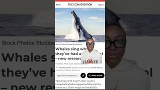 Whales sing… until they don’t. 👀 But what does that mean for them and for the health?