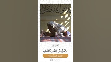 " واستعينوا بالصبر والصلاة "  || تلاوة غاية في الجمال من سورة البقرة ~ القارئ خالد المسروري