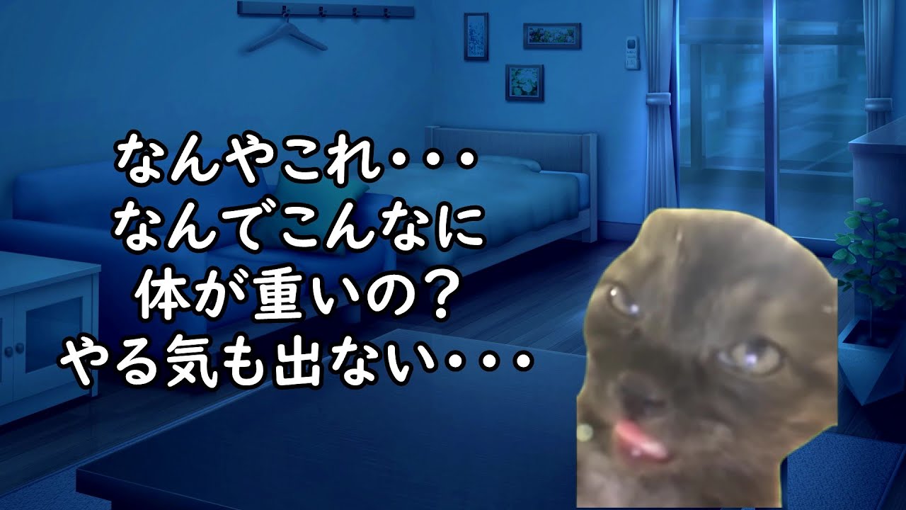 【見逃すとヤバい？】心や体が限界のサインあるある【猫ミーム】