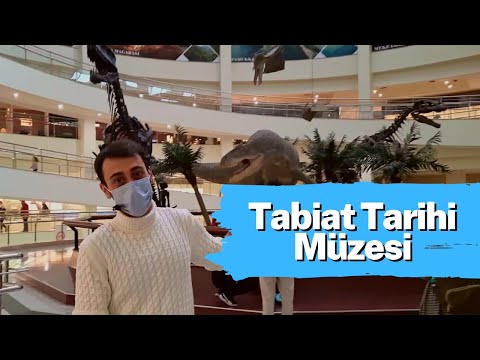 ANKARA'DA GEZİLECEK YERLER | MTA Tabiat Tarihi Müzesi