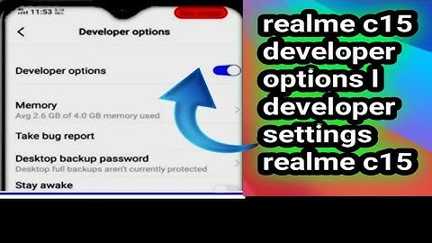 realme c15 developer options l developer settings realme c15