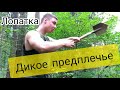 Дикие ПРЕДПЛЕЧЬЯ с ЛОПАТКОЙ!