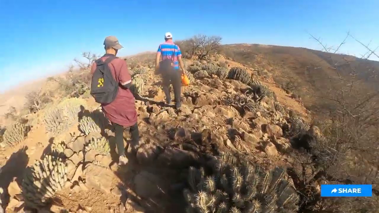 غداء ديك بلدي في قلب البرية 🐓🔥 وبعدها انطلاق نحو مغامرة جديدة!