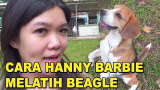 CARA HANNY BARBIE MELATIH ANJING BEAGLE