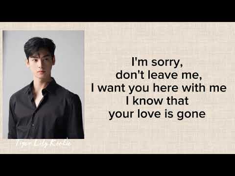 cha eun woo cover \