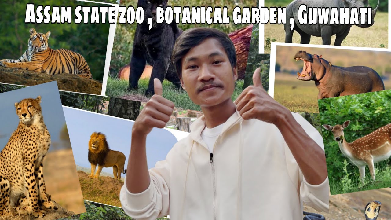 Assam State Zoo Cum Botanical Garden || Guwahati || My first Zoo vlog experience 🐅🦁🌳