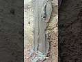 You Won't Believe This Concrete Pour!#trending #shorts #concreteart #civilengineering #usa