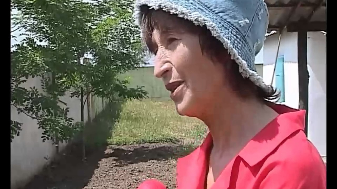 ВЫЗДОРОВЛЕНИЕ через метод Бруно Гренинга (DS: бластома молочной железы ...