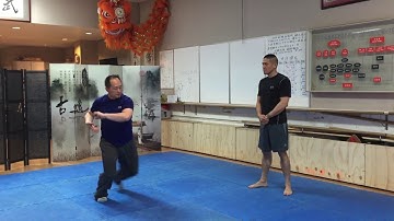 7 Star Praying Mantis KungFu Applications Techniques Forms Tou Tao 2 七星螳螂偷桃（二）