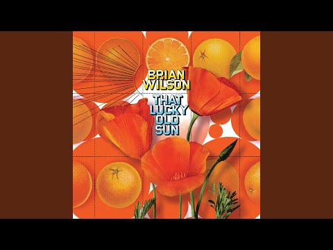 Brian Wilson - Goin' Home