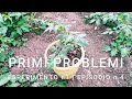 Esperimento Nr.1 ep.4 Riscontriamo i primi problemi probabilmente ristagno