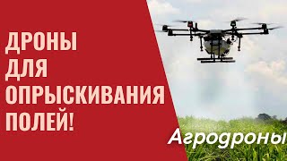 видео: Агродроны в сельском хозяйстве Опрыскиватель дрон Точное земледелие. Дифференцированное внесение СЗР картинка: Агродроны в сельском хозяйстве Опрыскиватель дрон Точное земледелие. Дифференцированное внесение СЗР