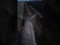 Прогулка верхом на лошади 🐎