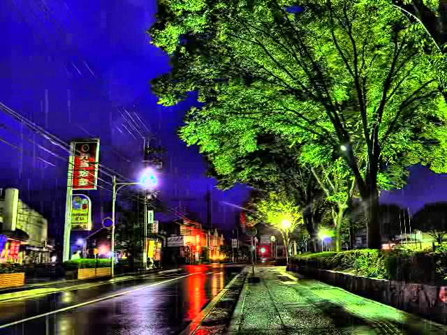 花はおそかった北山たけし