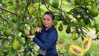 FULL VIDEO: 60 days of harvesting bananas, guava, avocado, eggplant to go to the market to sell