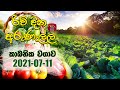 Rividina Arunella - කාබනික වගාව | 2021-07-11 | Rupavahini | Agricultural Programme