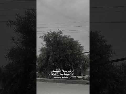 والورد موطن وجنتيك