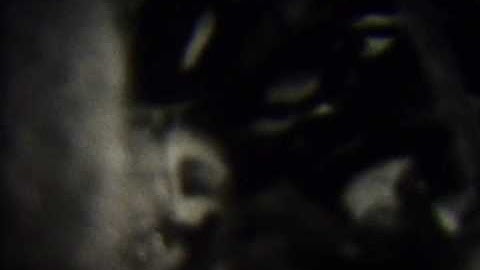 experimental Super 8 art film by Cassandra Sechler