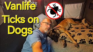 Vanlife With a Dod and TICKS / Belgian Malinois / Vanlife