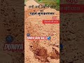 Duniya Kathare Me H Ab Kalyug Ka Badla