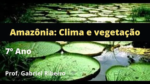 Como é o clima e o solo da Amazônia?