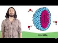 Thermodynamics and Entropy Unveiled Through Engaging Scenarios
