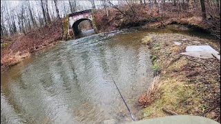 Catching a Giant Trout in a Train Trussell Hole #trout #fishing #fish ￼￼
