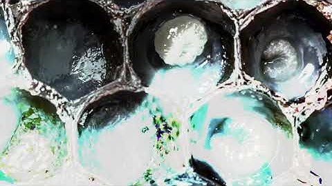 Volkkán - Podrías (video oficial)