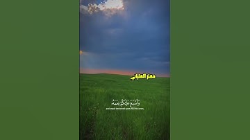 سورة لقمان آية (20)