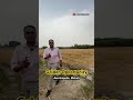 Aerotropolis Mohali Land Pooling Best Property Investment 2025 High Returns Guaranteed Aerotropolis Mohali Land Pooling Best Property Investment 2025 High Returns Guaranteed
