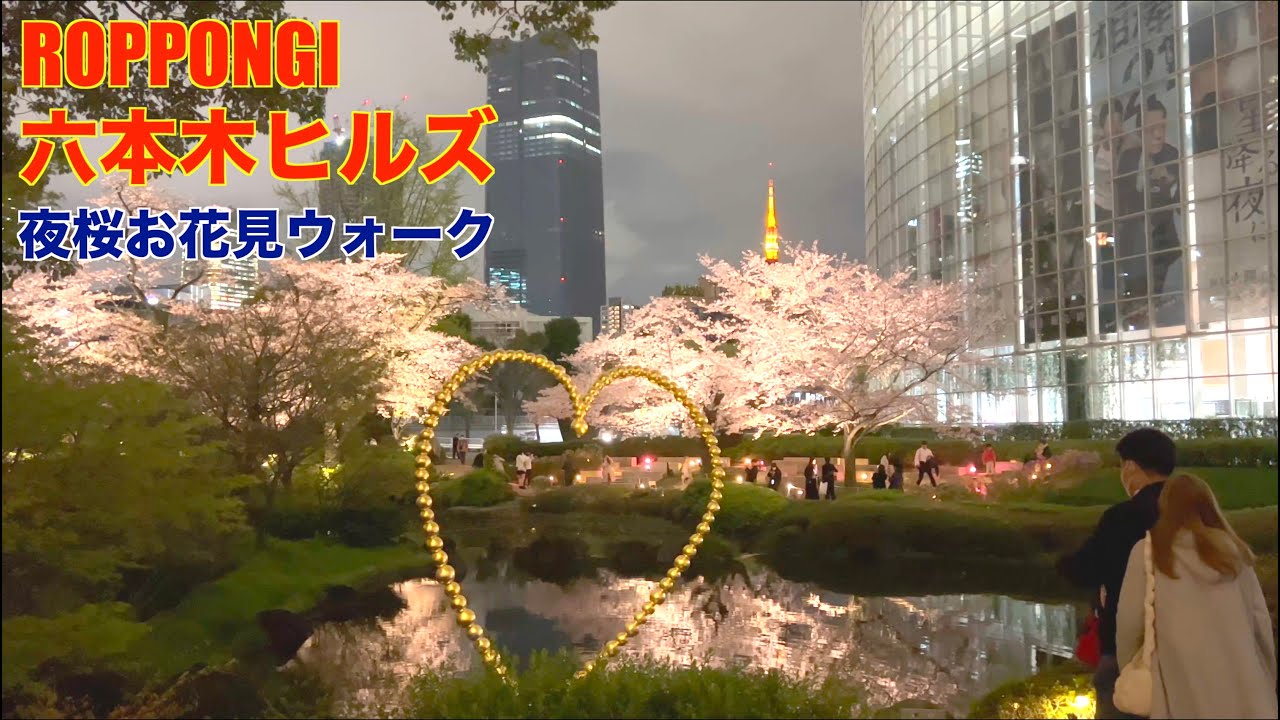 【4K】六本木 六本木ヒルズ さくら坂〜けやき坂 夜桜花見ウォーク 毛利庭園 Roppongi Sakurazaka
