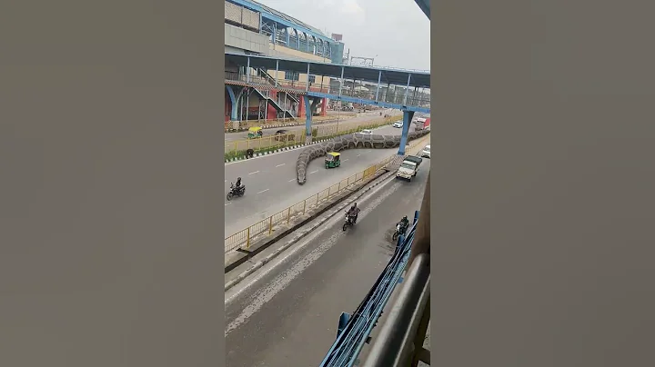 Big Anaconda Snake Caught In Camera 🐍 #Snake #Shorts #Vfx #Animation