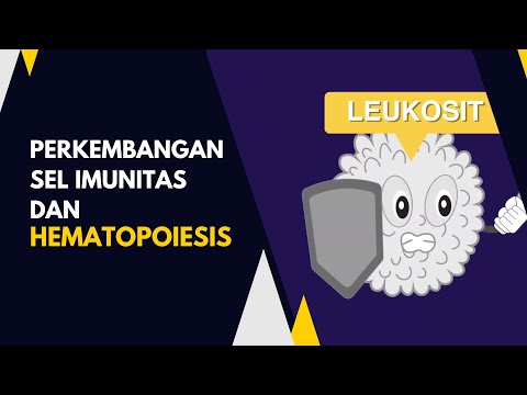 Video: Adakah ia hematopoiesis atau hematopoiesis?