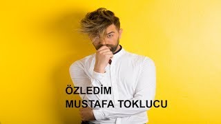 Murat Boz - Özledim Mustafa Toklucu & Karma Orkestrası cover Resimi