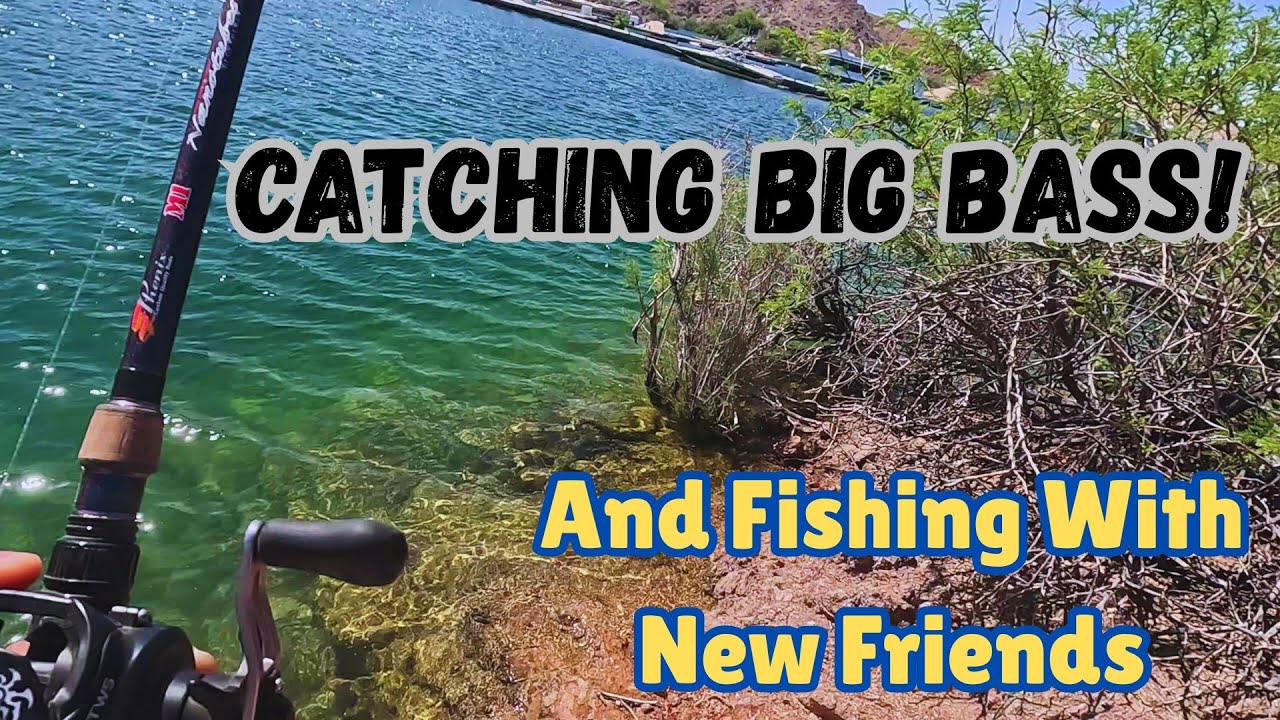 Catching Big Bass At Kathrine's Landing Lake Mohave!